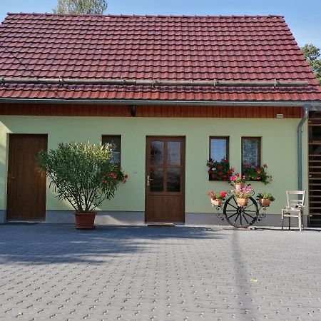 Schaffrath'S - Ferienhaus โฮห์นสไตน์ ภายนอก รูปภาพ